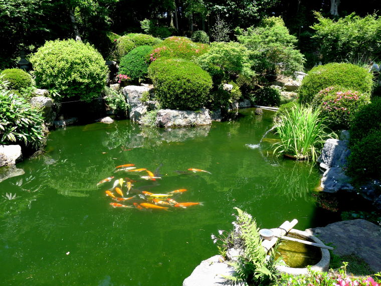 西漸寺の池
